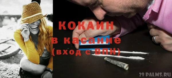 крисы Армянск