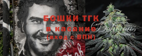 крисы Армянск