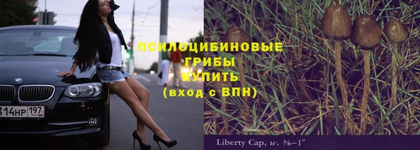 дурь Арсеньев