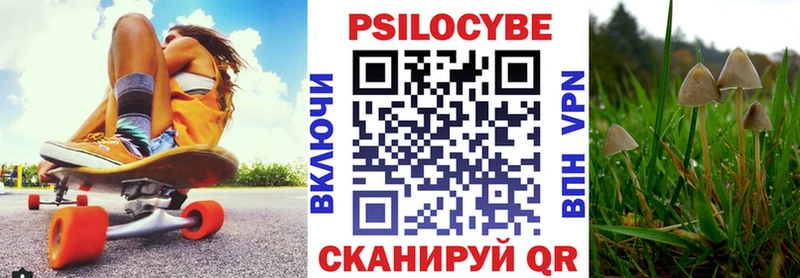 Галлюциногенные грибы Magic Shrooms  продажа наркотиков  mega ССЫЛКА  Луза 